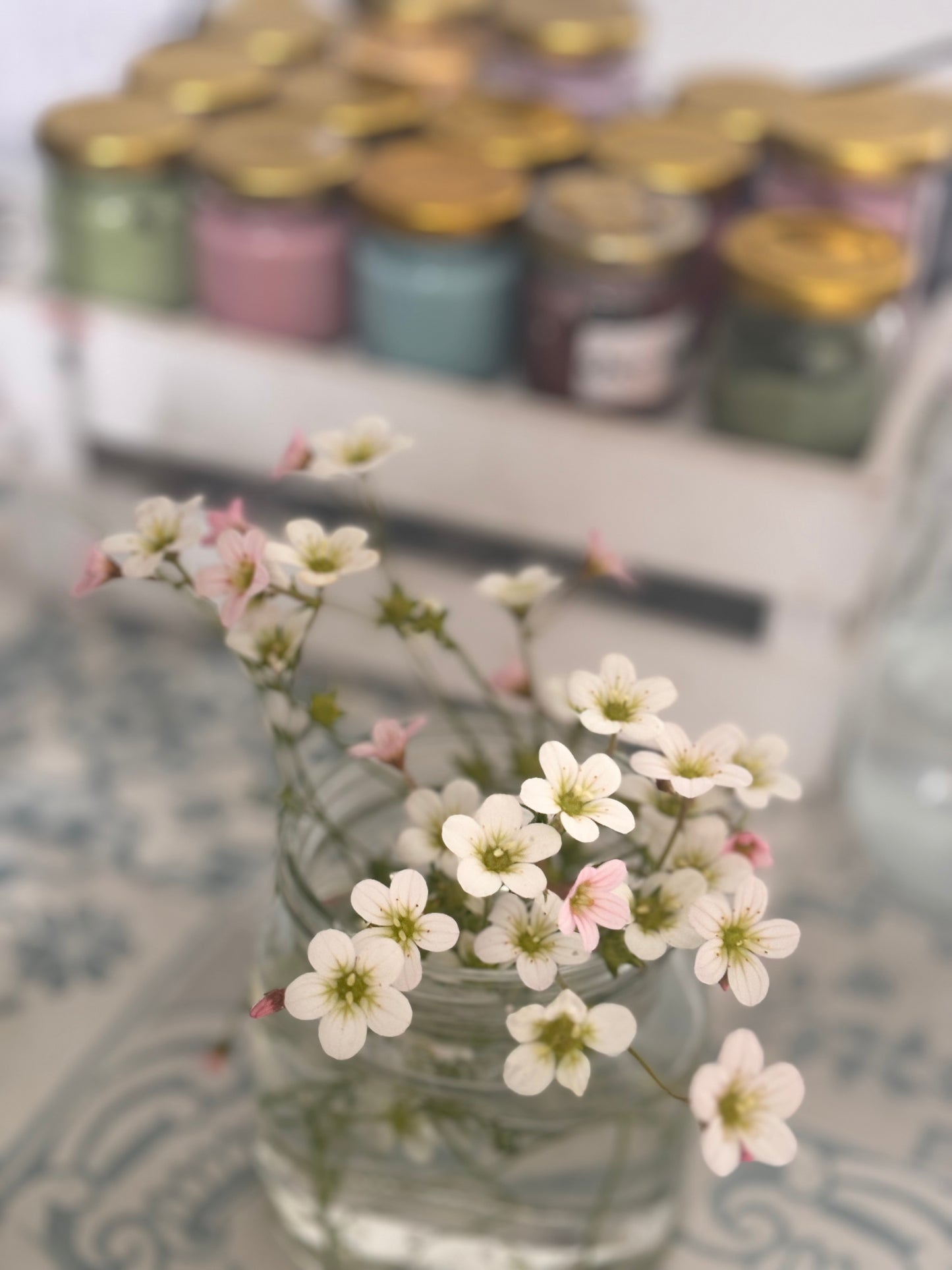 Wild Craft and Outside Play 28 May 10.30am