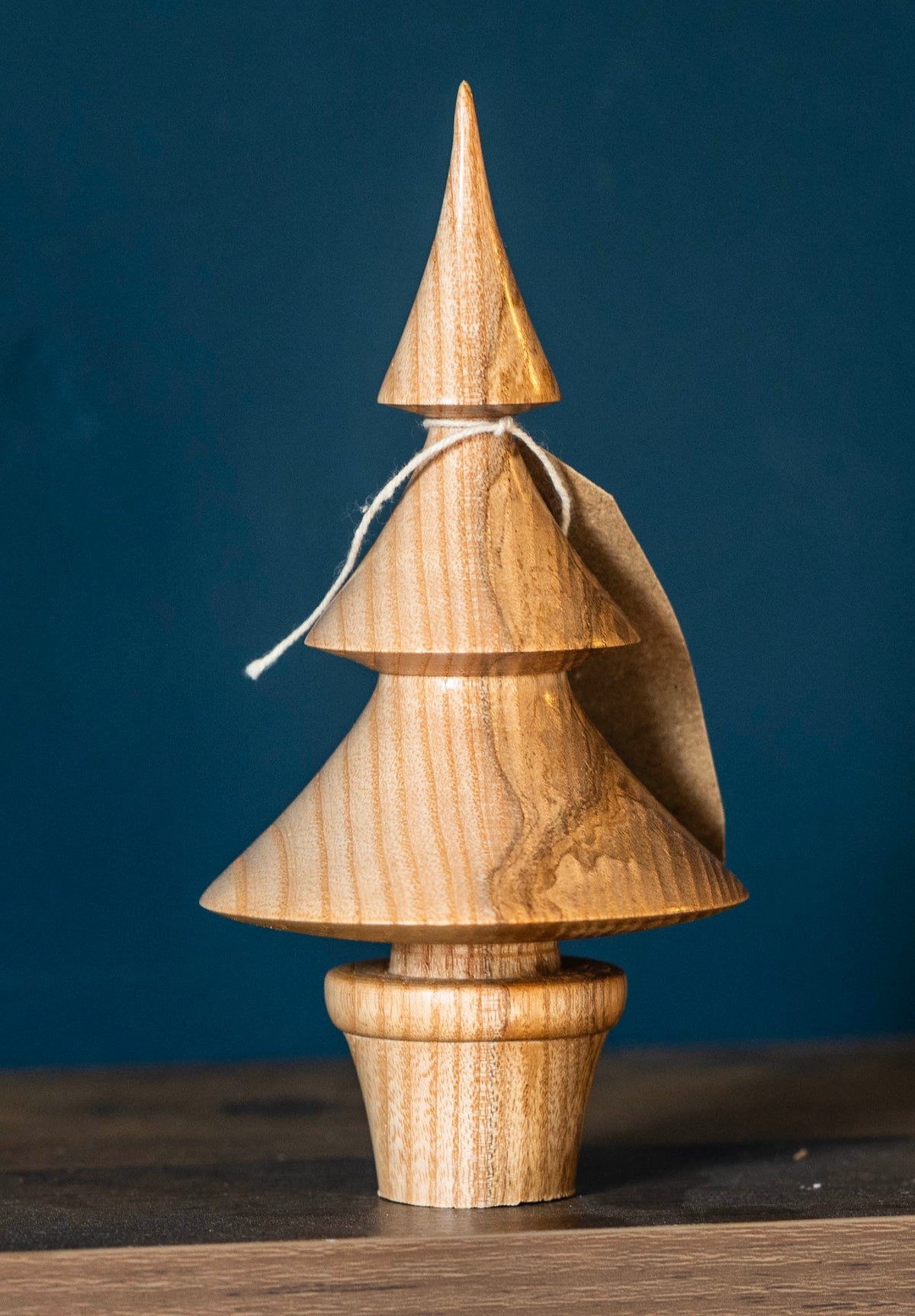Ash tree 16cm £18.00