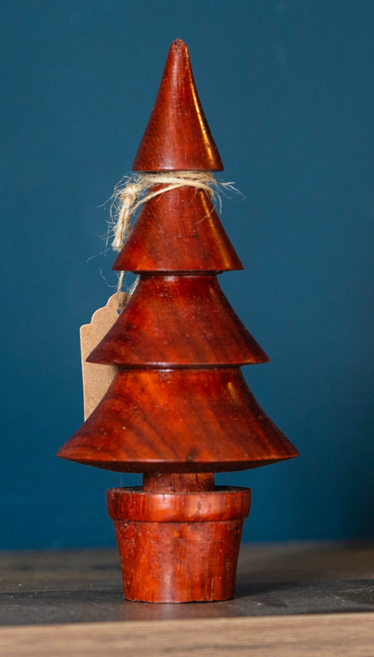 Padauk tree 14cm £18.00