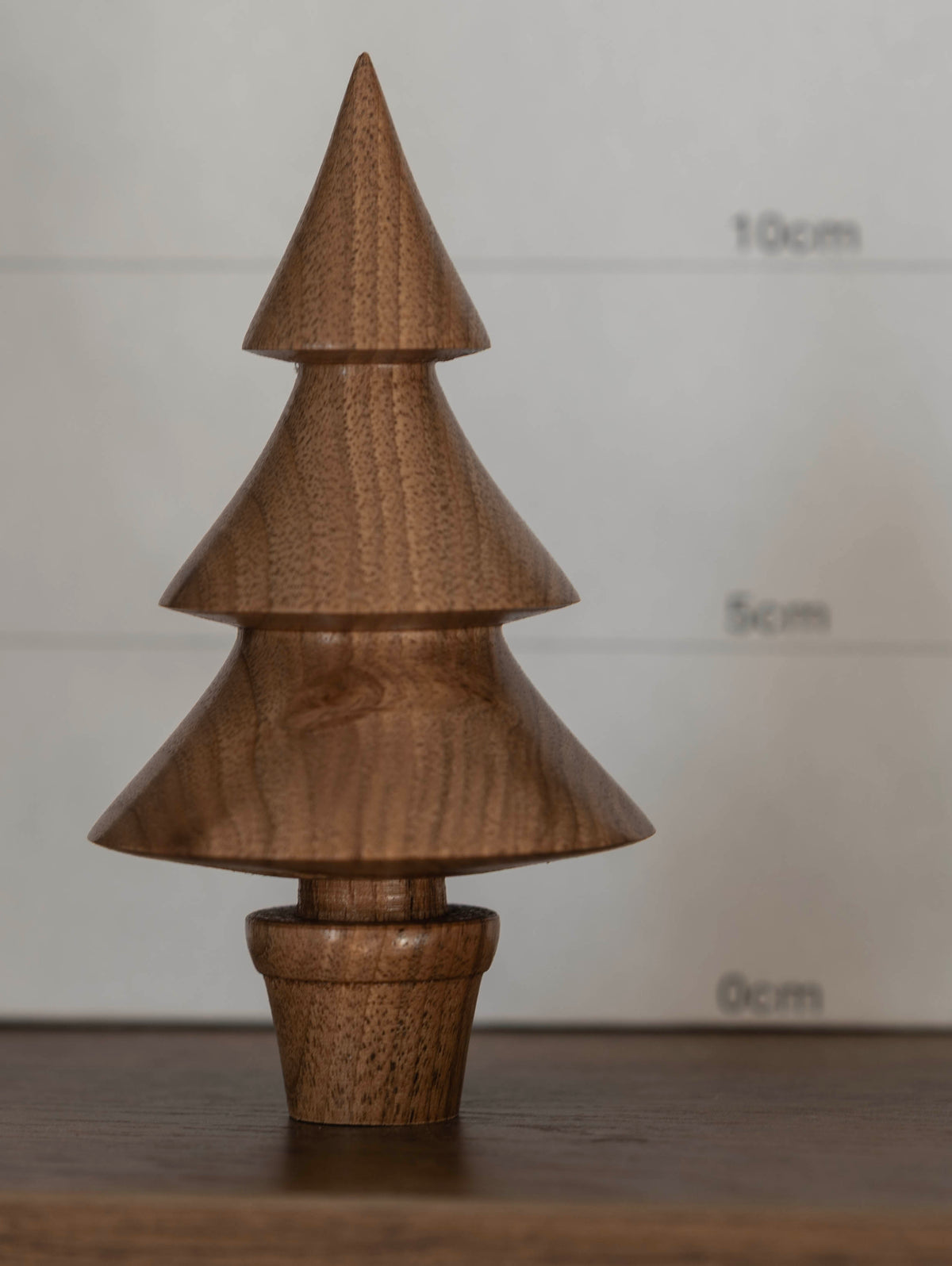 English Walnut tree 13cm £16.00