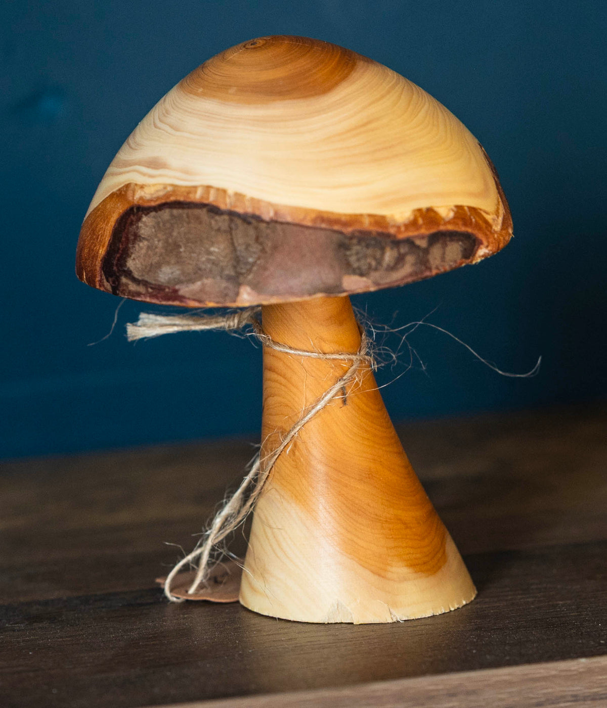 Yew mushroom 10cm £15.00