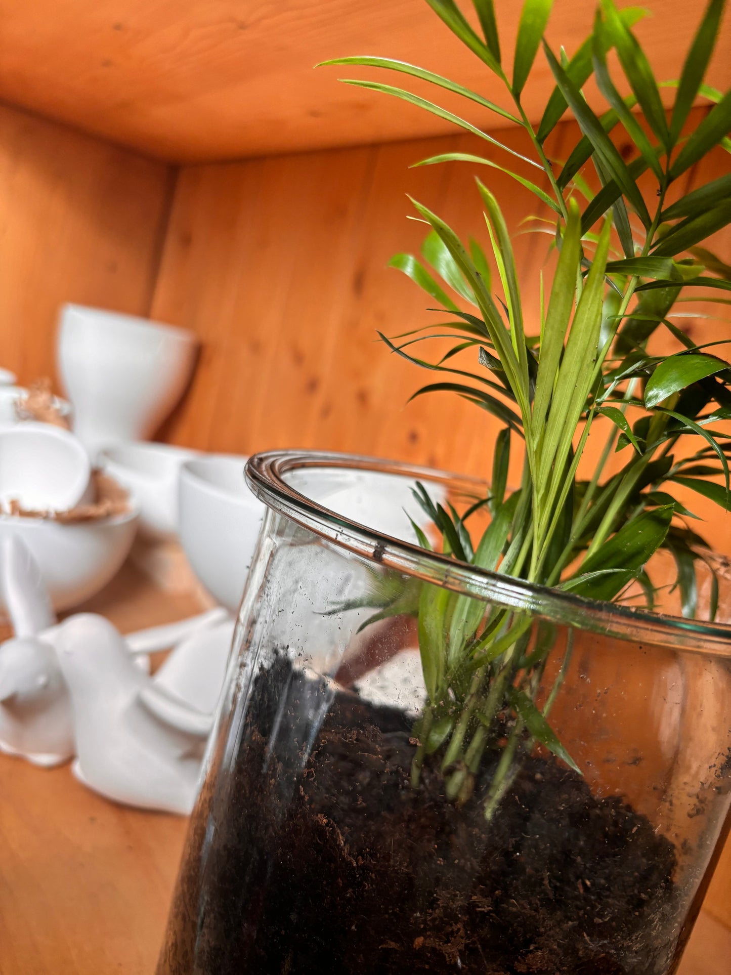 Book your studio session