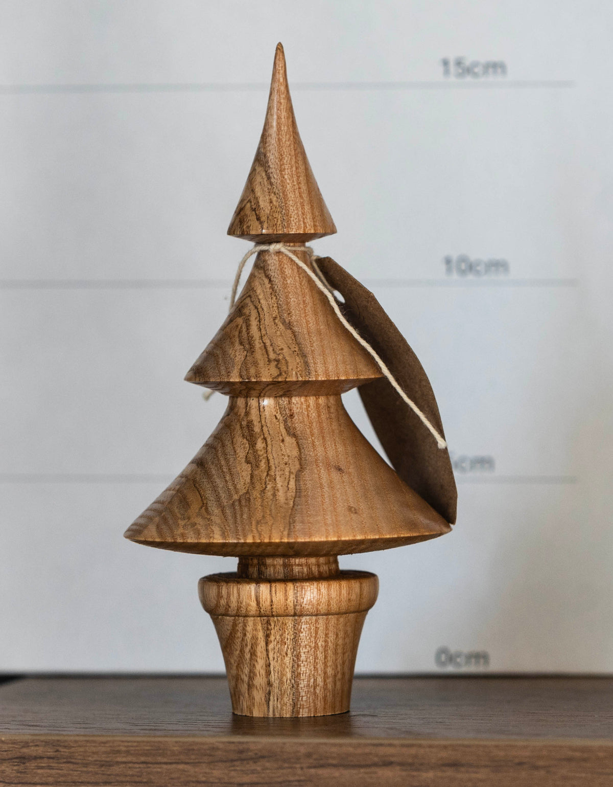 Ash tree 16cm £18.00