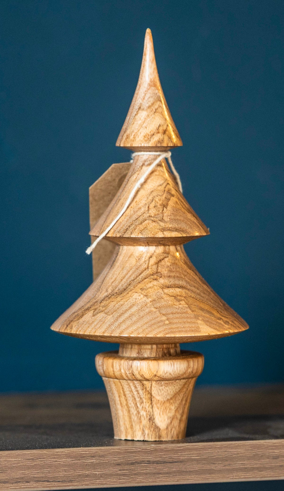 Ash tree 16cm £18.00
