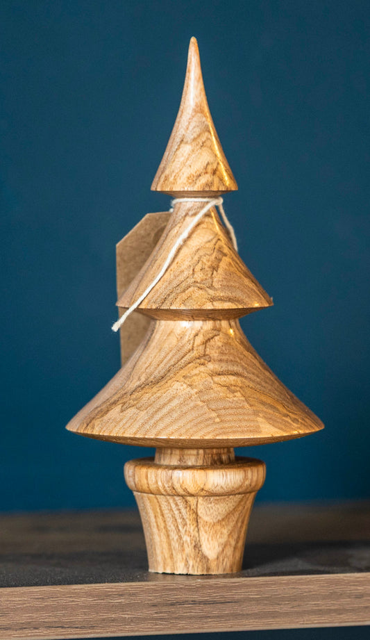 Ash tree 16cm £18.00