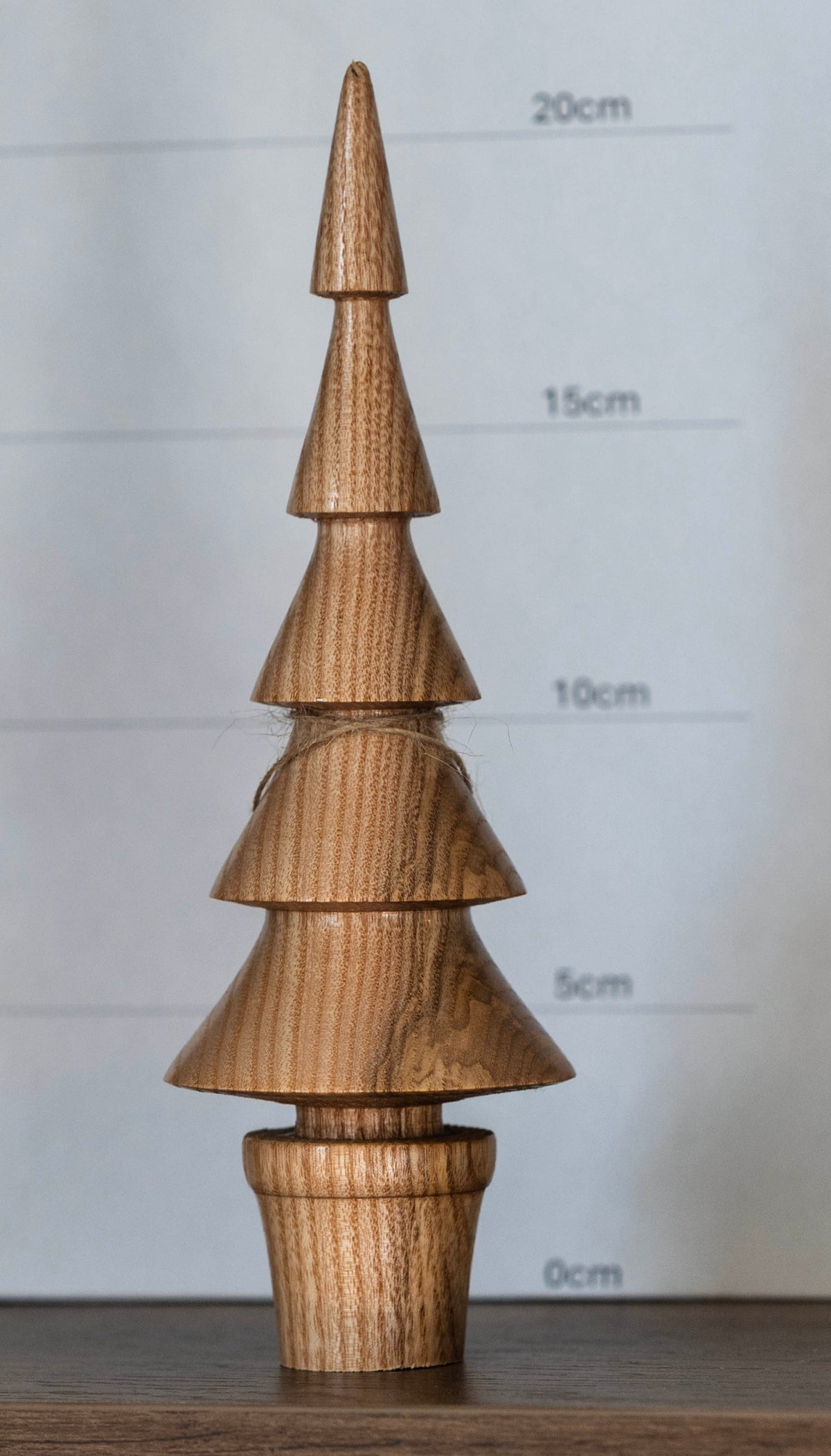 Ash tree 21cm £22.00