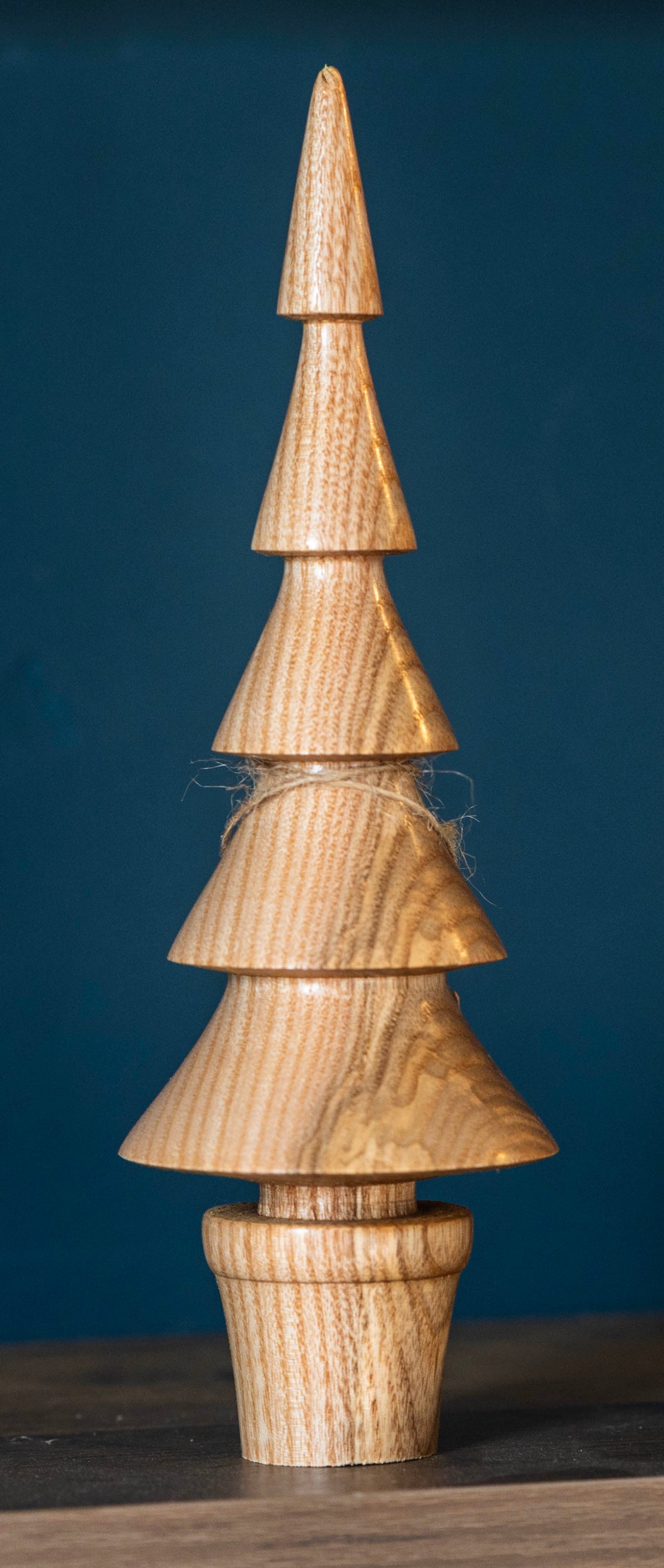 Ash tree 21cm £22.00