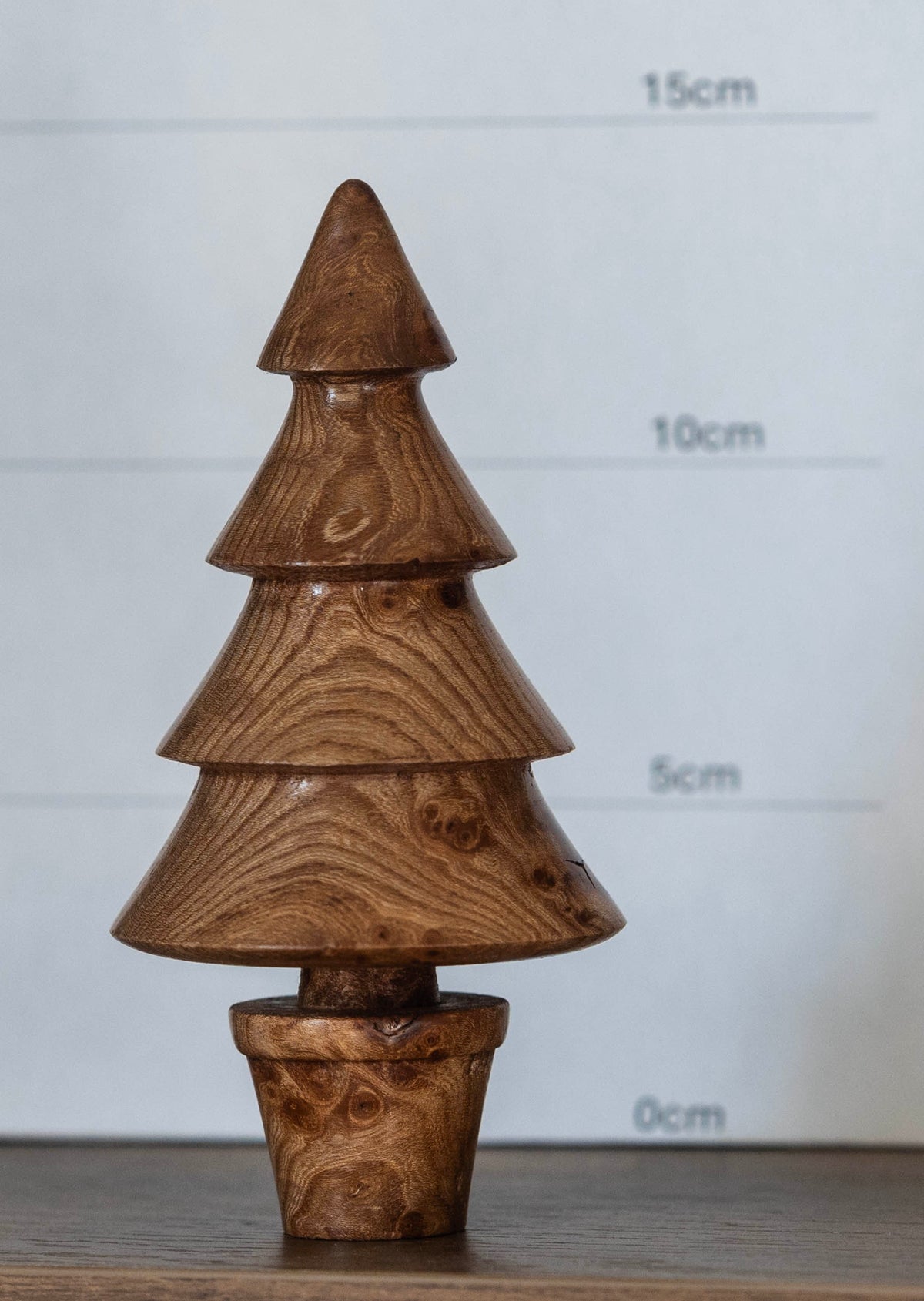 Elm Burr 14cm £25.00