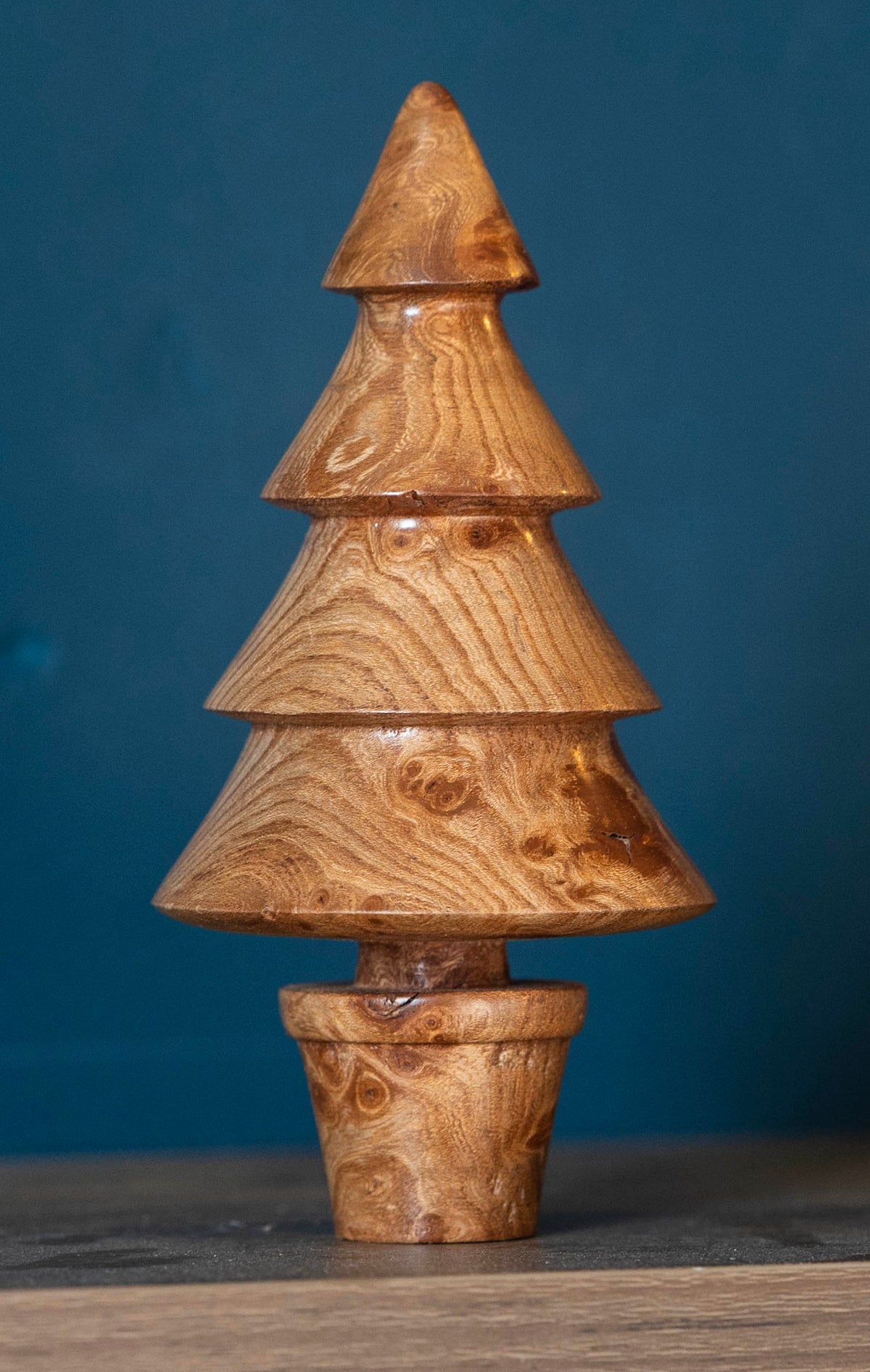 Elm Burr 14cm £25.00