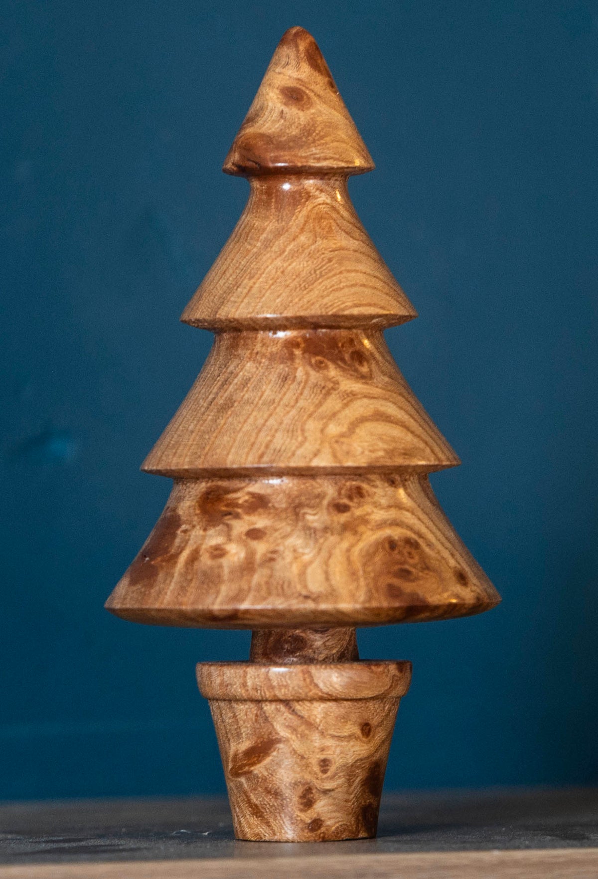 Elm Burr 14cm £25.00