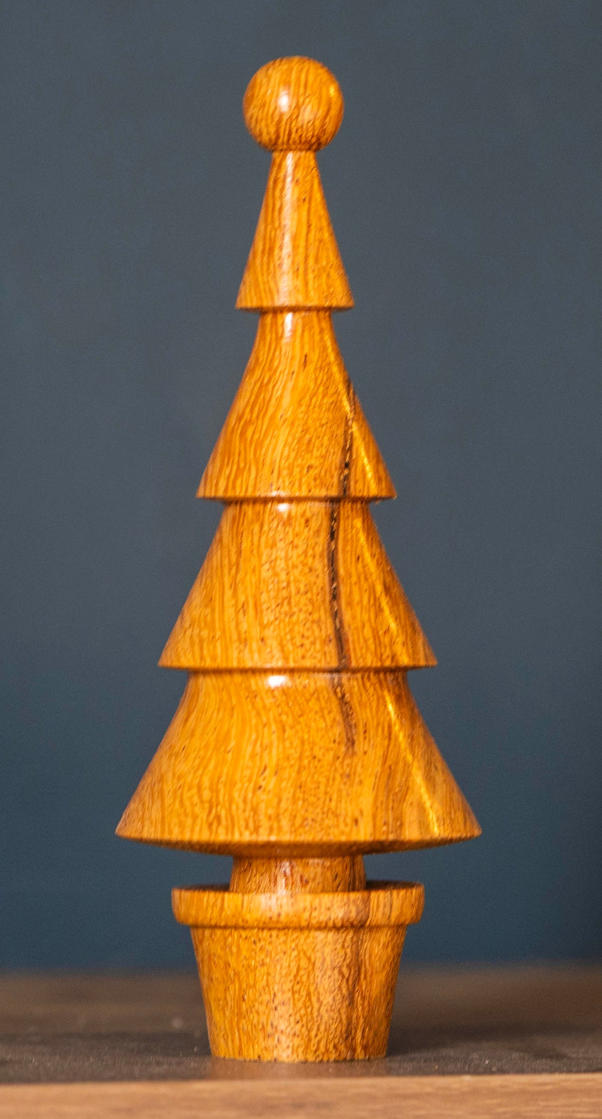 Mango tree 14cm £18.00