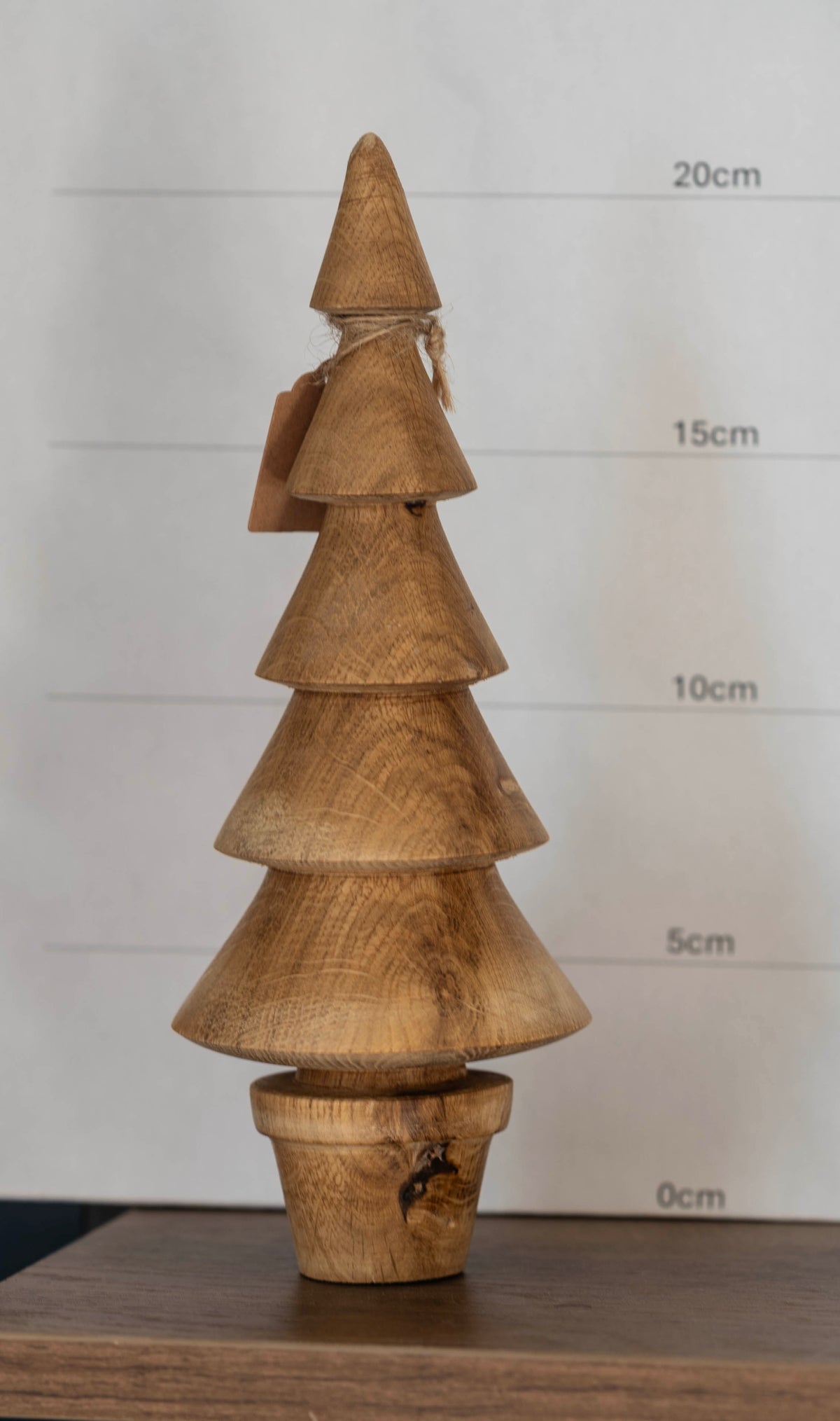 Oak tree 21cm £22.00