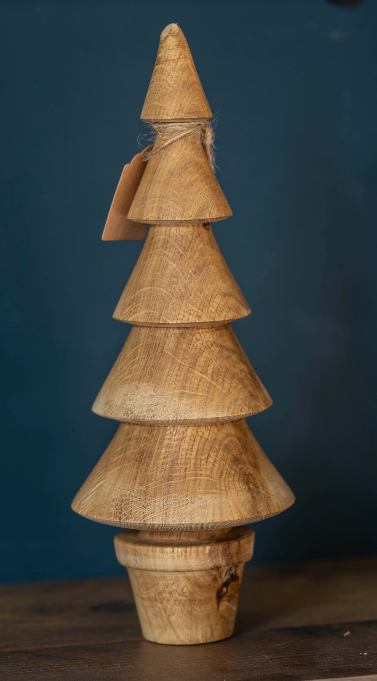 Oak tree 21cm £22.00