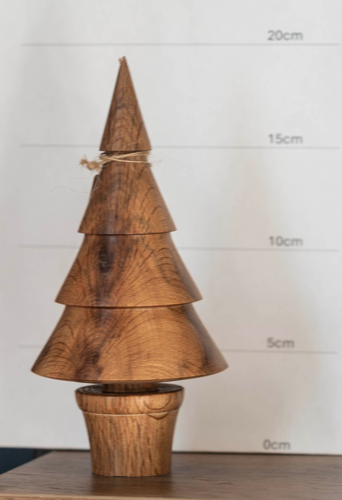 Oak tree 19cm £20.00