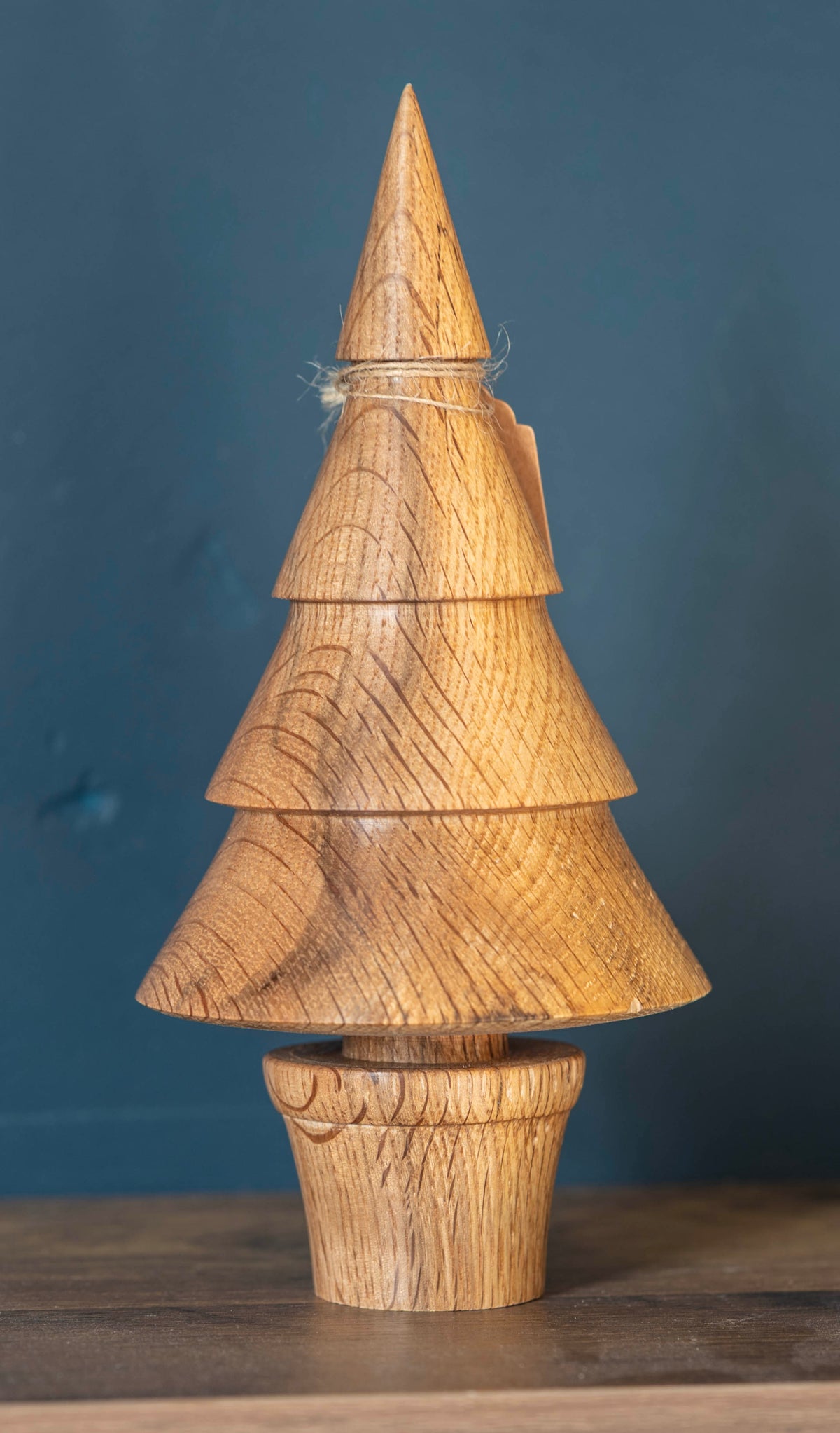 Oak tree 19cm £20.00