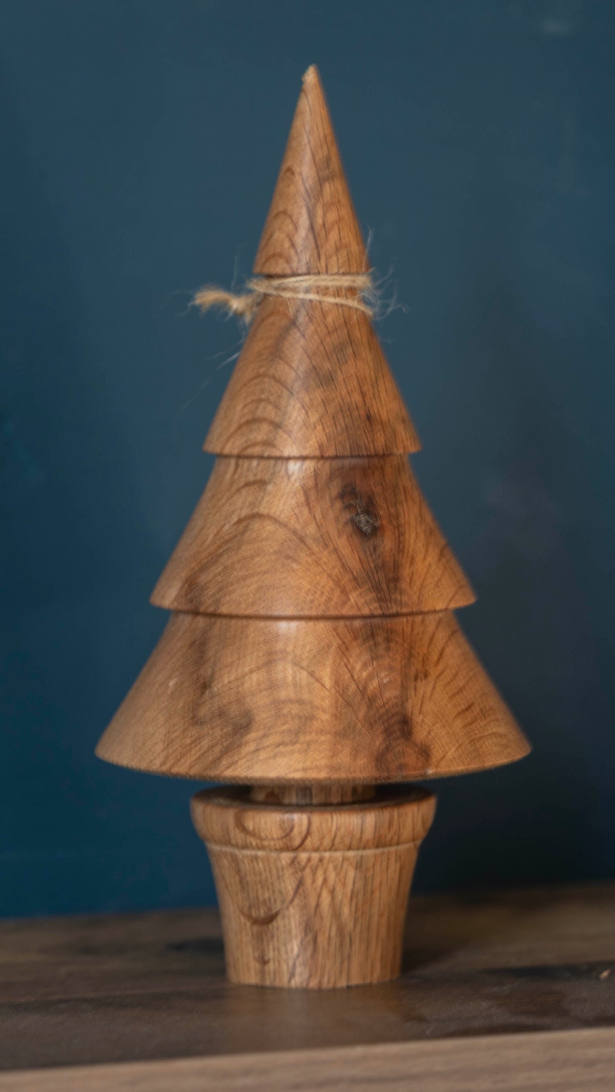 Oak tree 19cm £20.00