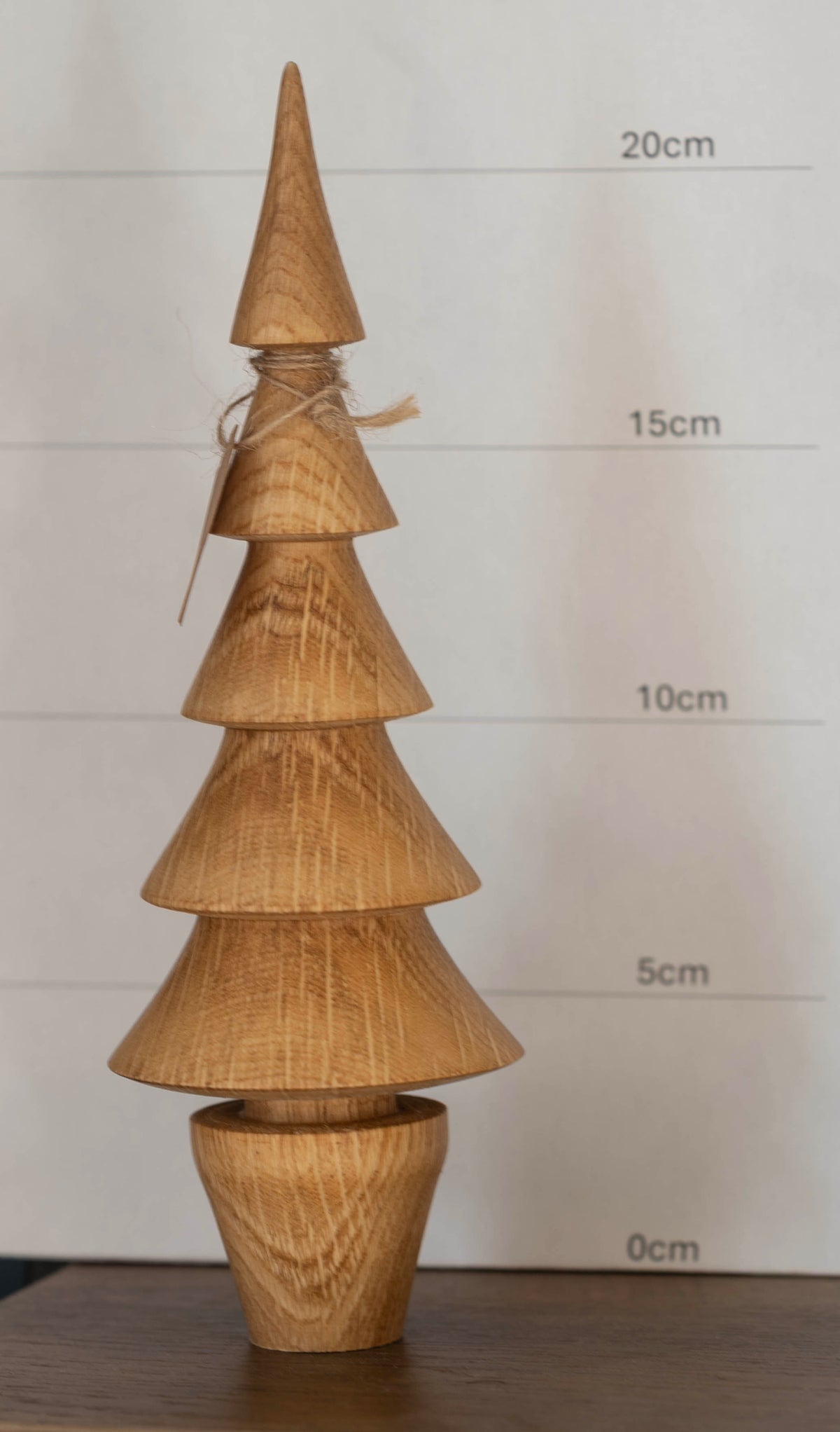 Oak tree 22cm £24.00