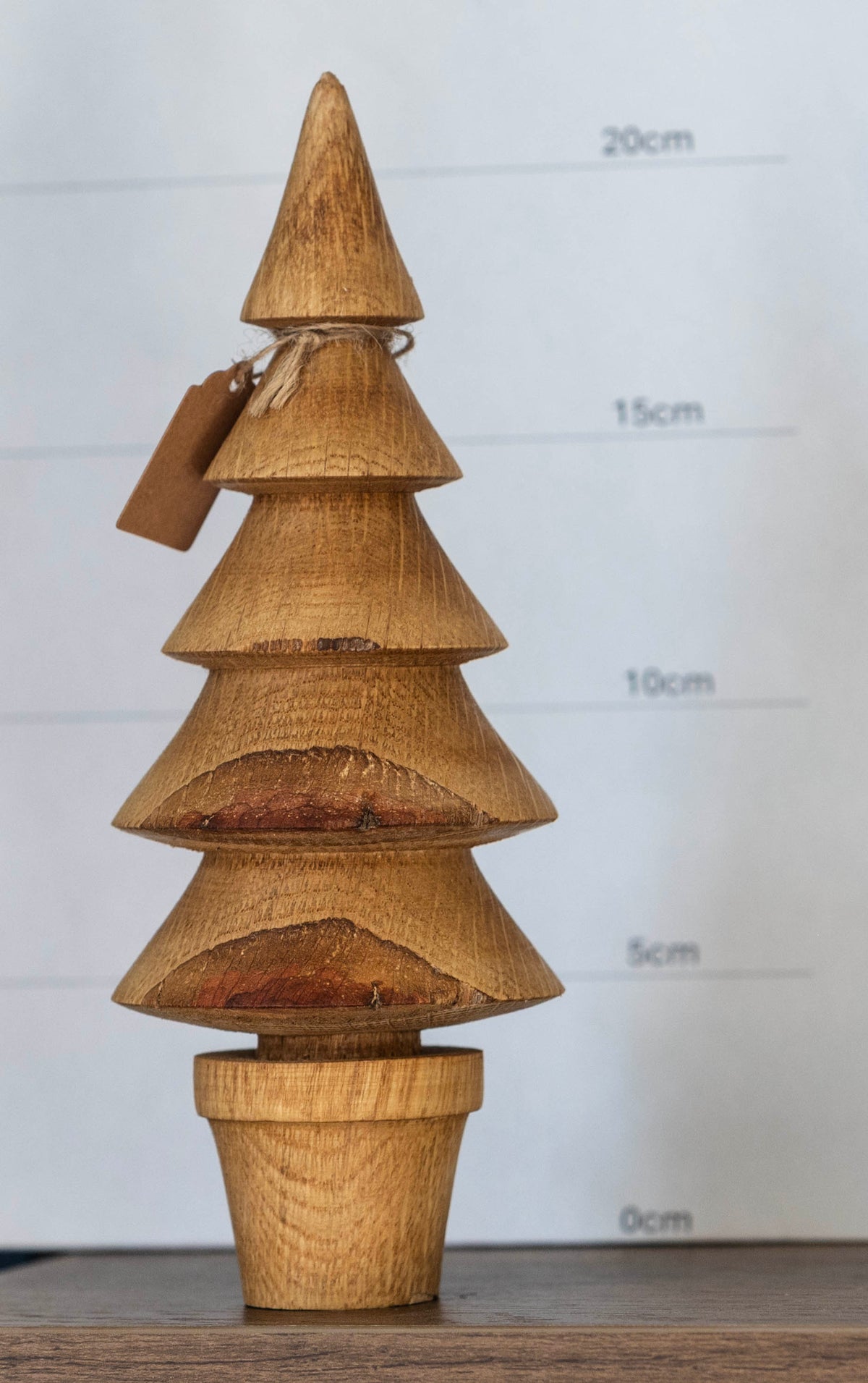Oak tree 21cm £22.00