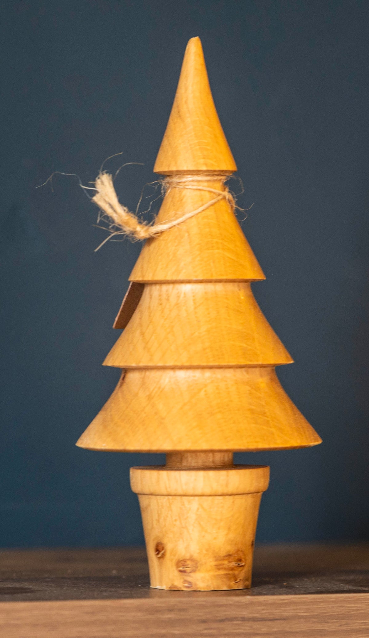 Oak tree 16cm £20.00