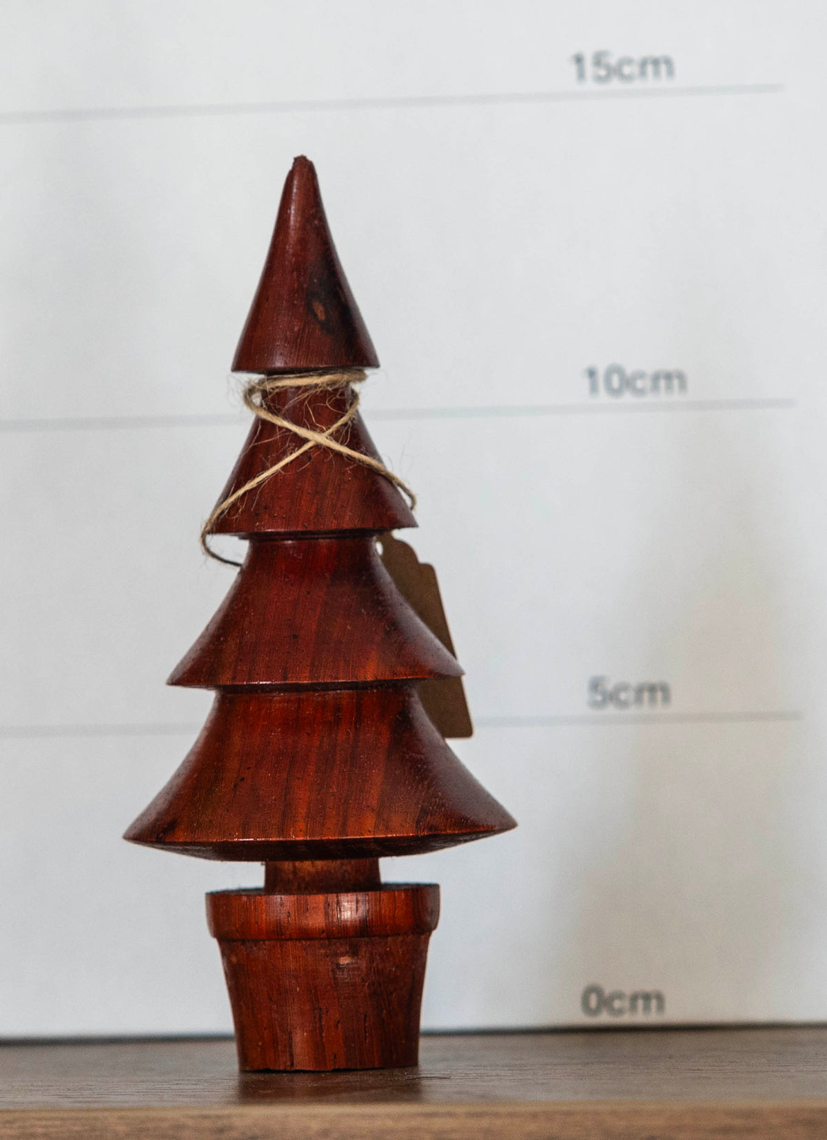 Padauk tree 14cm £18.00