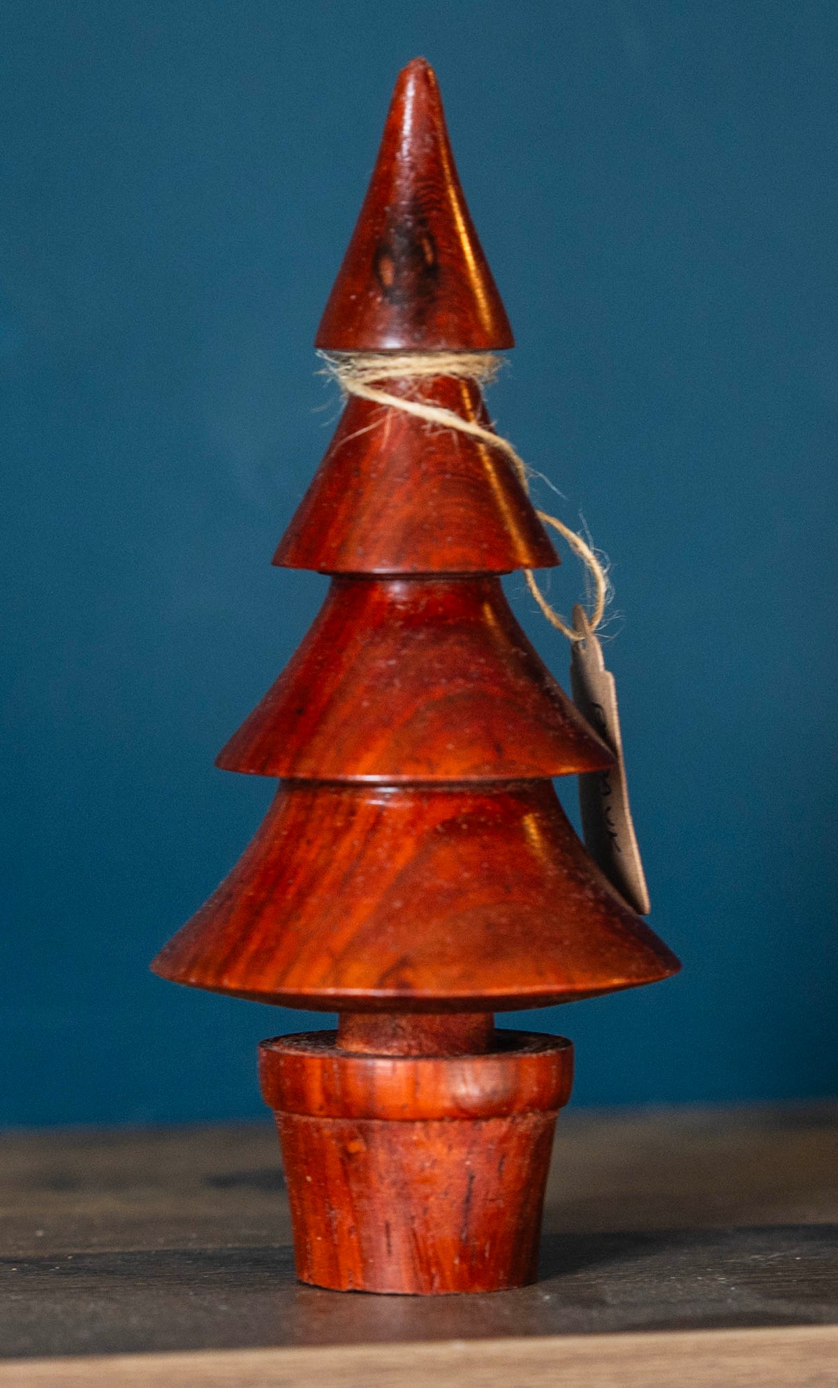 Padauk tree 14cm £18.00