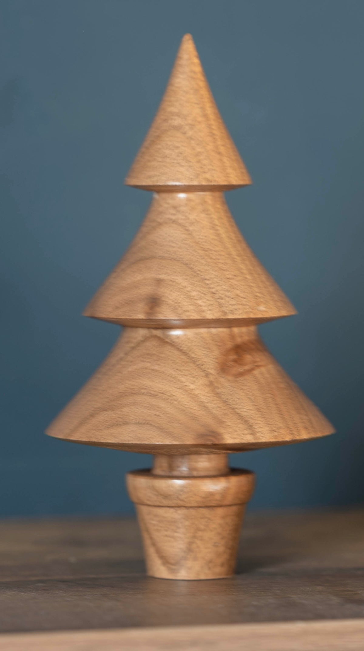 English Walnut tree 13cm £16.00