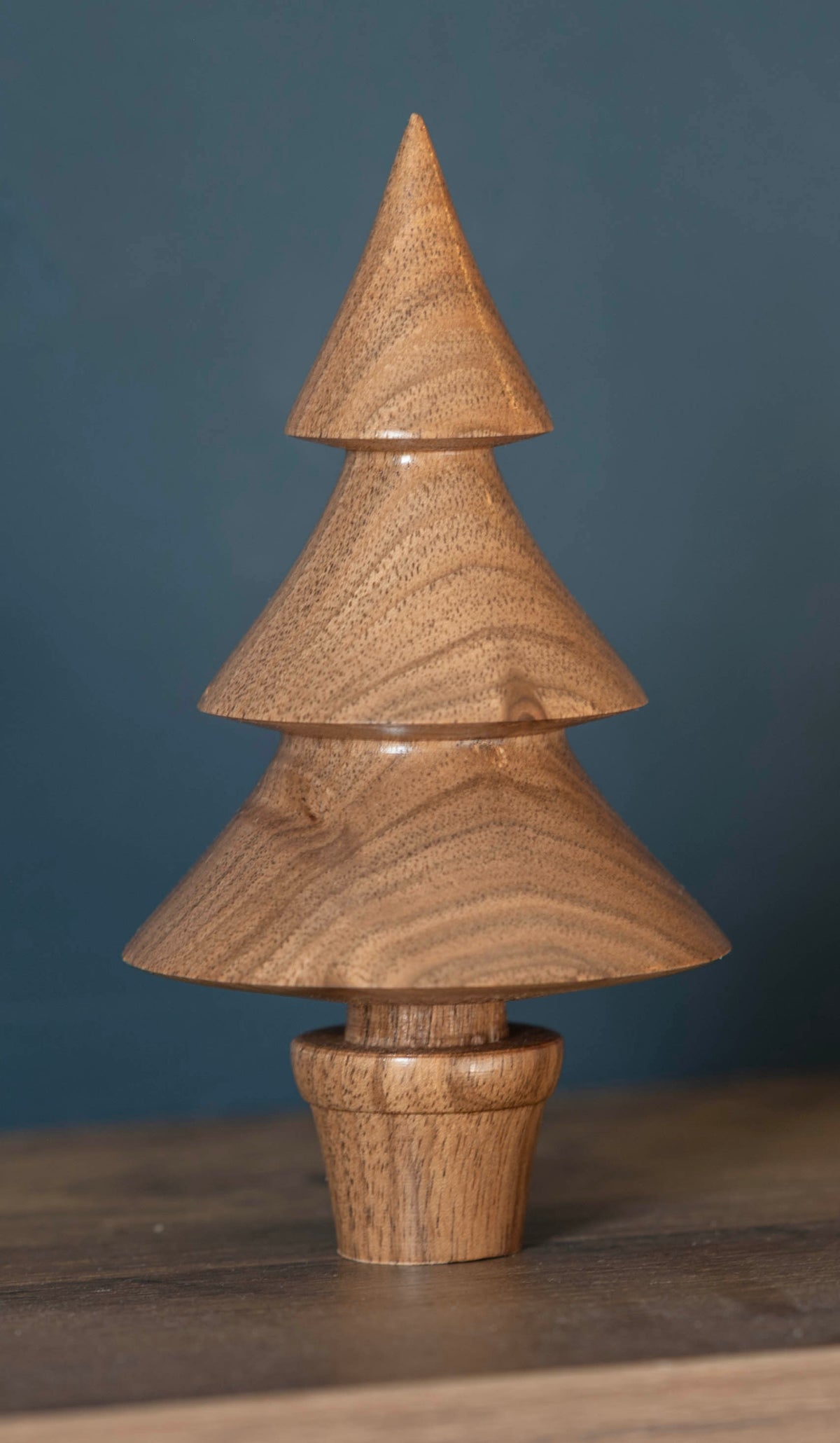 English Walnut tree 13cm £16.00