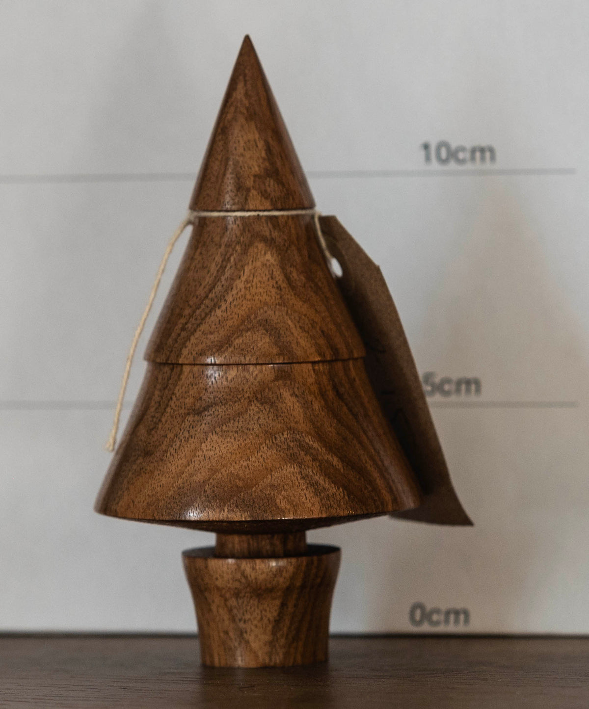 English Walnut tree 13cm, £15.00