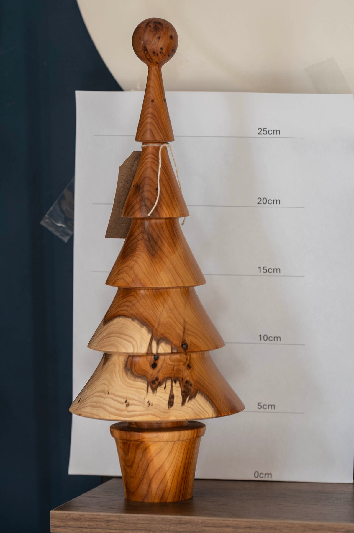 Yew tree 33cm £55.00