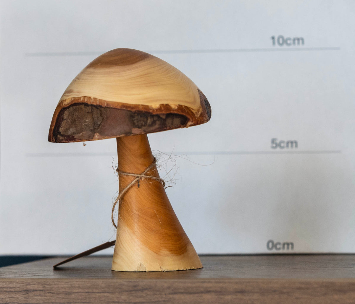 Yew mushroom 10cm £15.00