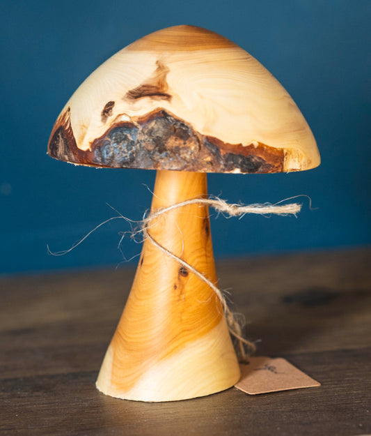 Yew mushroom 10cm £15.00