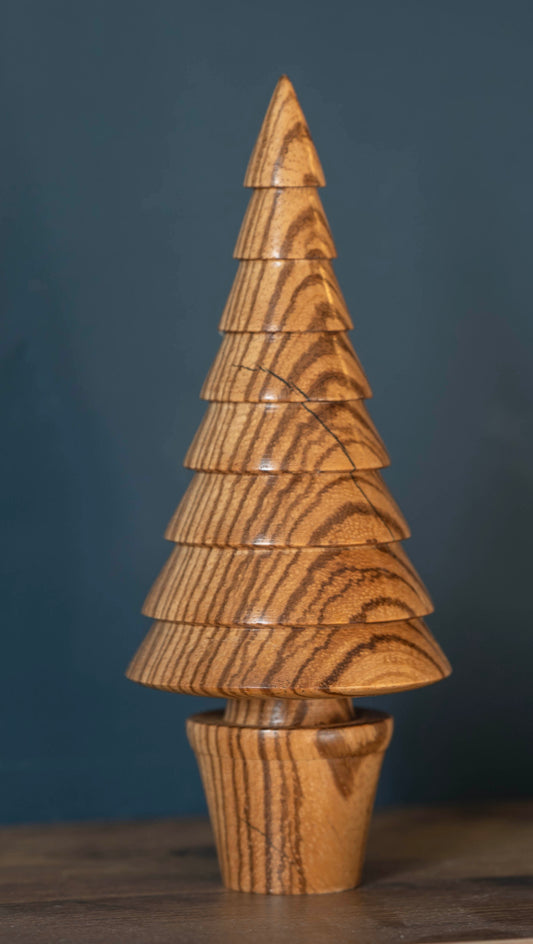 Zebrano tree 17cm £25.00