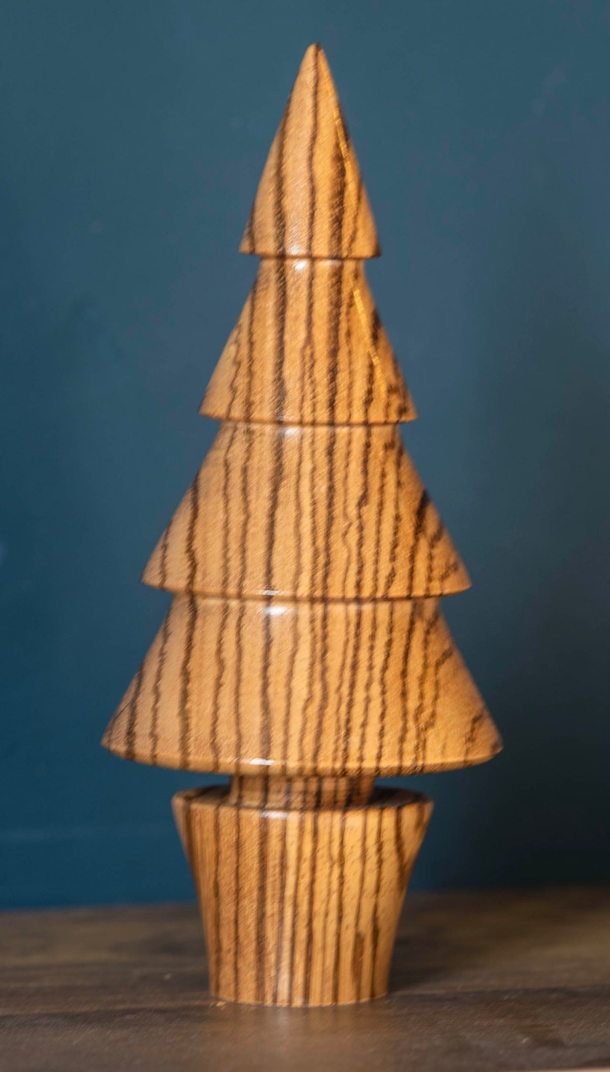 Zebrano tree 16cm £25.00