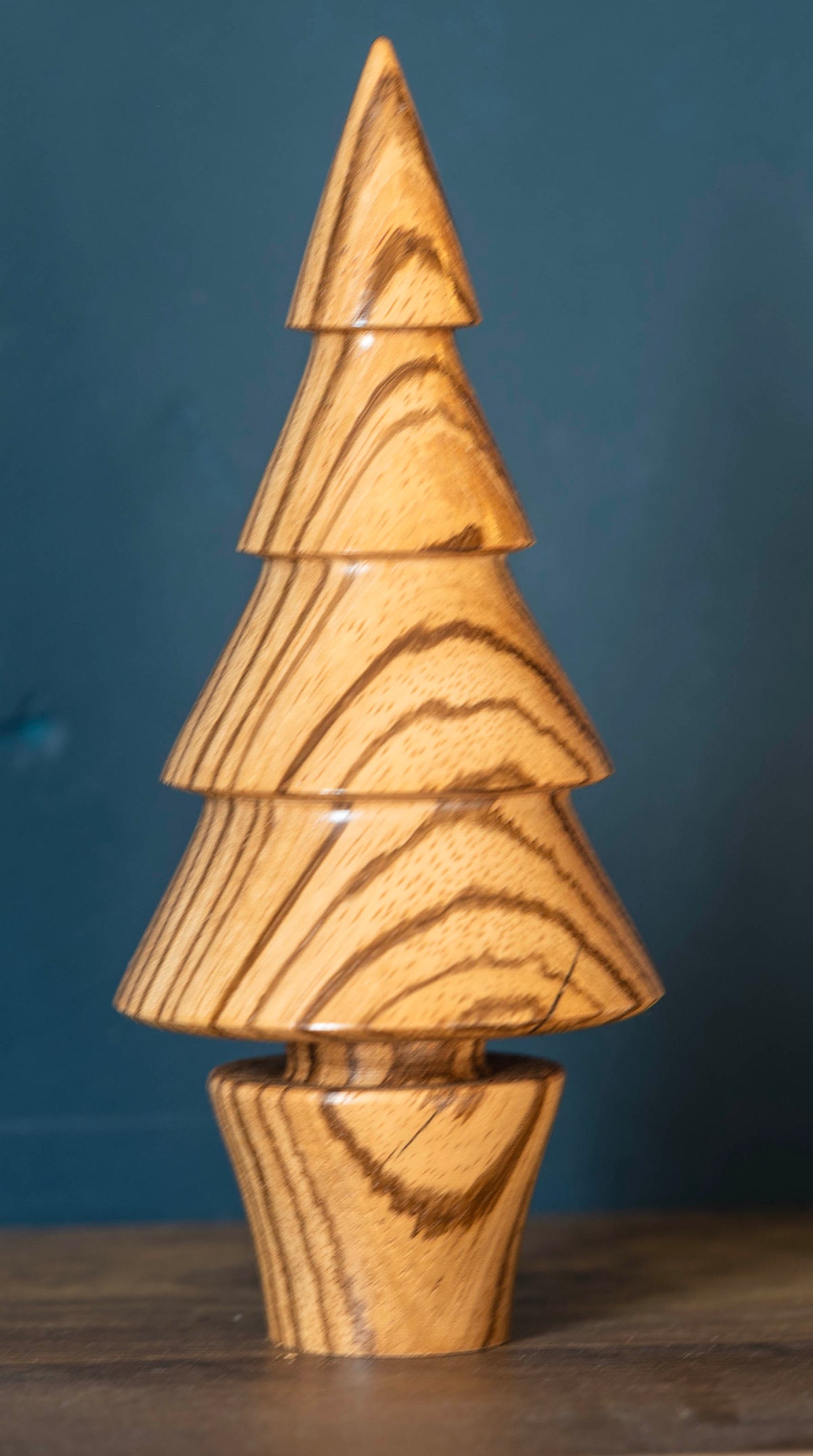Zebrano tree 16cm £25.00